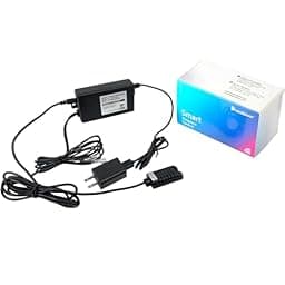 Durablow SH3002 Gas Fireplace WiFi Smart Home Remote Control photo