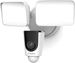 Amcrest Floodlight Camera photo