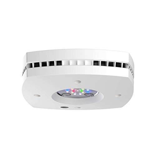 Ecotech 43119102 main view
