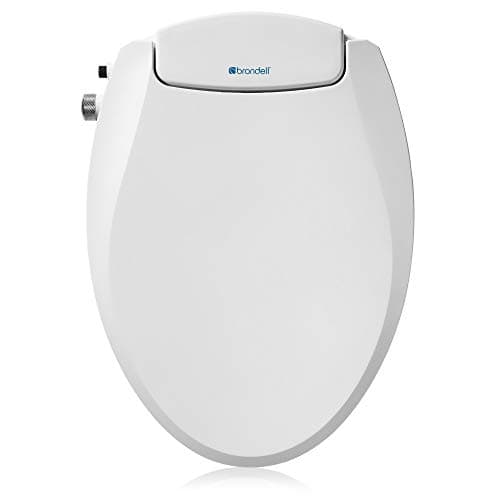 Brondell Bidet Toilet Seat Non-Electric Swash Ecoseat main view