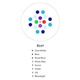 Ecotech 43119102 thumbnail 4