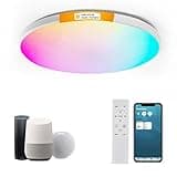 Smart Ceiling Light thumbnail 1