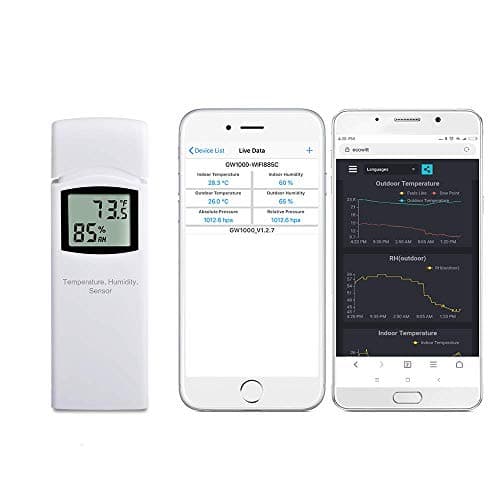 Ecowitt WN32(WH32) Wireless Outdoor Temperature and Humidity Sensor main view
