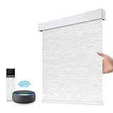 ZSTARR Motorized Blackout Window Blinds thumbnail 1