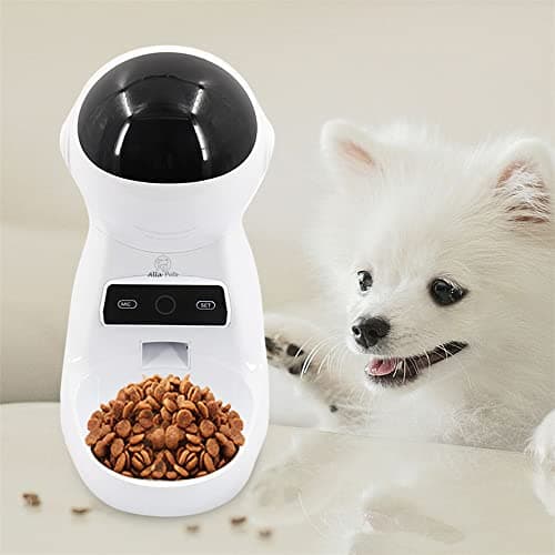 Alla Pets Dogs and Cats Feeder main view