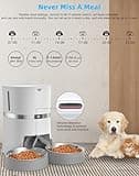 Automatic Cat Feeder thumbnail 4