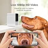 Petcube Cam Indoor Wi-Fi Pet and Security Camera thumbnail 2