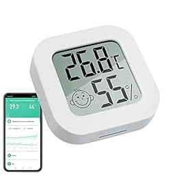 Indoor Thermometer Mini photo
