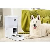 Owlet Home Smart Automatic Pet Feeder thumbnail 2