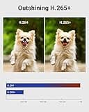 ANNKE 3K Lite Security Camera System Outdoor with AI Human/Vehicle Detection thumbnail 4