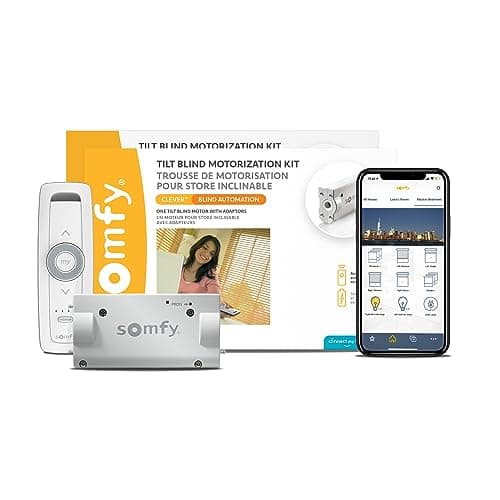 Somfy Clever Tilt Blind Motor Kit 2 Pack main view