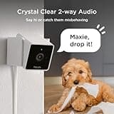 Petcube Cam Indoor Wi-Fi Pet and Security Camera thumbnail 3