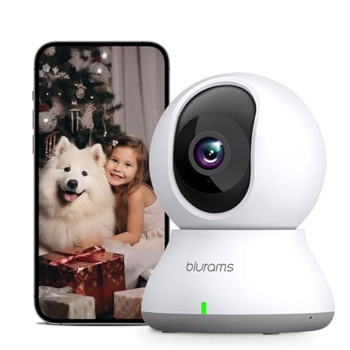 blurams Security Camera main view