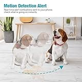 VIMTAG Pet Camera thumbnail 3