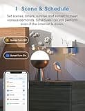 Meross Smart Plug Mini thumbnail 5