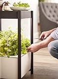 Miracle-Gro Twelve Indoor Growing System thumbnail 3