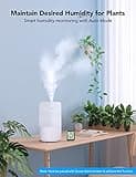 Govee Smart WiFi Humidifiers thumbnail 3
