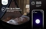 Euri Lighting WiFi Smart Bulb A19 thumbnail 5