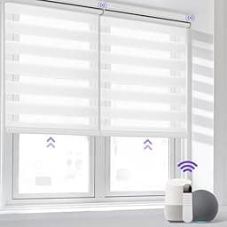 Allesin Motorized Zebra Blinds photo