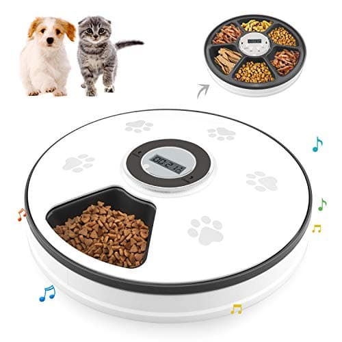 Chintu Automatic Cat Food Dispenser main view