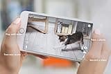 Petcube Play thumbnail 3