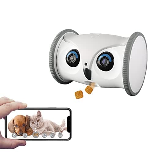 SKYMEE Owl Robot main view