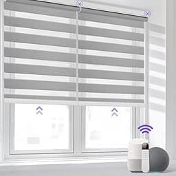 Allesin Motorized Zebra Blinds photo