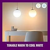 WiZ Clear 60W A19 Tunable White Filament LED Smart Bulb thumbnail 3