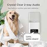 Petcube Bites 2 Lite thumbnail 4