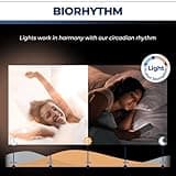 Lightinginside Smart Light Bulbs thumbnail 5