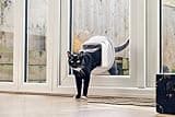 SureFlap Microchip Cat Door Connect thumbnail 5