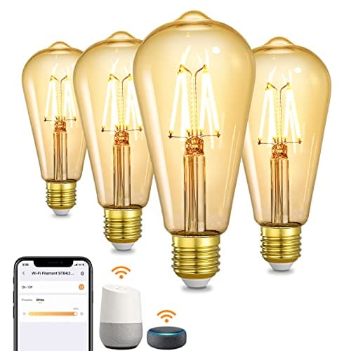 OREiN Smart LED Edison Light Bulbs main view