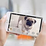 SKYMEE Dog Camera Treat Dispenser thumbnail 4