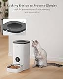 Automatic Dog Feeder thumbnail 4