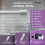 Motorized Blinds thumbnail 2