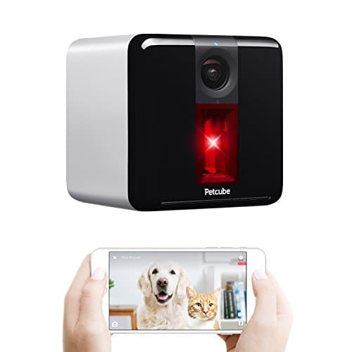 Petcube Play main view