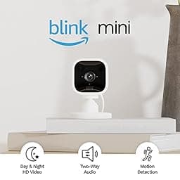 Blink Mini photo