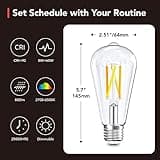 OREiN Smart Edison Light Bulbs with Smart Button thumbnail 3