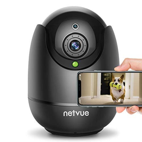 NETVUE Indoor Camera main view