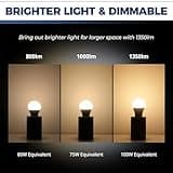 Lightinginside Smart Light Bulbs thumbnail 3
