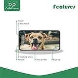 Owlet Home Pet Camera with Treat Dispenser thumbnail 4