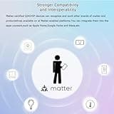 Matter Smart Switch 16A Mini WiFi Relay Module thumbnail 4