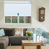 JaeJaes Motorized Roller Shades thumbnail 1