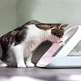 SureFeed Microchip Pet Feeder Connect thumbnail 2