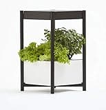Miracle-Gro Twelve Indoor Growing System thumbnail 1