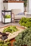 Miracle-Gro Twelve Indoor Growing System thumbnail 4