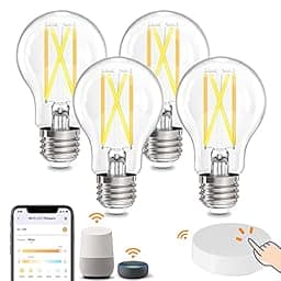 OREiN Smart LED Edison Light Bulb photo