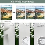 Yoolax Motorized Roller Shade thumbnail 3