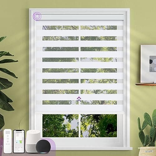 Custom Motorized Zebra Blinds main view