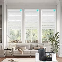 Changshade Motorized Zebra Roller Shades photo
